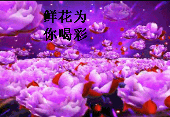 114903bqamqbhpqs1lnyqn.gif