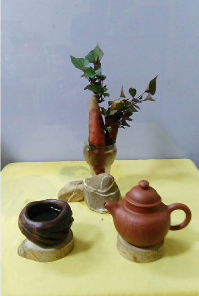 红薯芽8.png