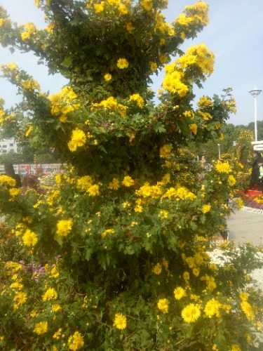 IMG20221105103838.jpg